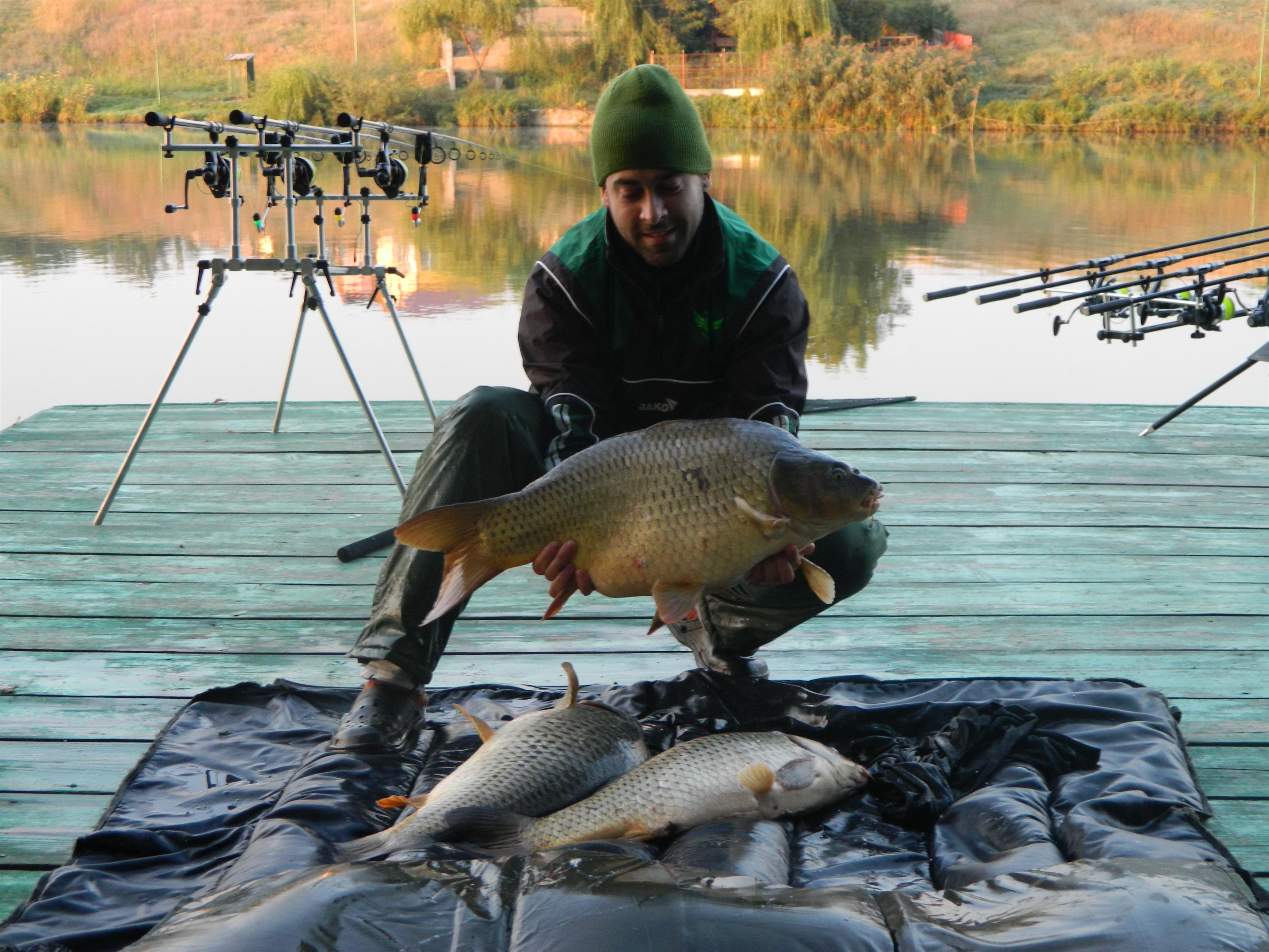 EU si pestii(like Batranul si marea!!!) - DSCN0518.JPG